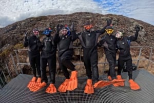 Fra Reykjavík: Snorkling i Silfra med gratis bilder