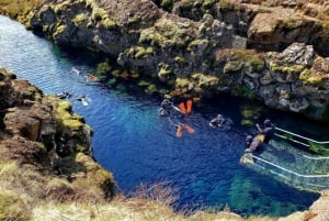 Fra Reykjavík: Snorkling i Silfra med gratis bilder