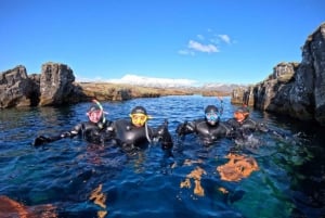 Fra Reykjavík: Snorkling i Silfra med gratis bilder