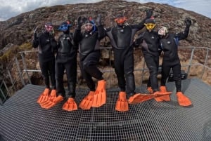 Z Reykjaviku: Snorkeling w Silfrze z darmowymi zdjęciami
