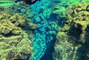 Z Reykjaviku: Snorkeling w Silfrze z darmowymi zdjęciami