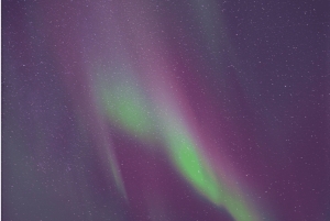 Från Reykjavik: Norrskenstur i liten grupp