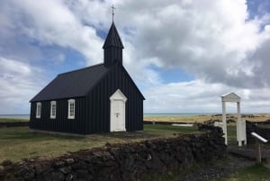 Depuis Reykjavik : Excursion d'une journée à Snæfellsnes avec repas maison