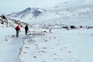 Z Reykjaviku: całodniowa wycieczka do Snæfellsnes z domowym posiłkiem