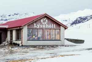 De Reykjavik: excursão de dia inteiro a Snæfellsnes com refeição caseira