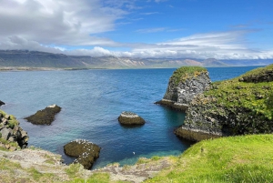 Z Reykjaviku: Całodniowa wycieczka Snæfellsnes z domowym posiłkiem