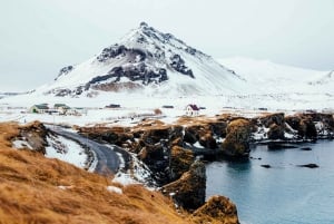 Fra Reykjavik: Heldagstur på Snæfellsnes med hjemmelaget måltid