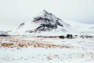 From Reykjavik: Snæfellsnes Full-Day Tour with Homemade Meal
