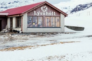 From Reykjavik: Snæfellsnes Full-Day Tour with Homemade Meal