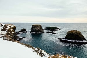 From Reykjavik: Snæfellsnes Full-Day Tour with Homemade Meal