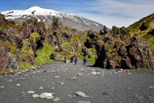 Reykjavikista: Snaefellsnesin kansallispuisto - pieni ryhmä