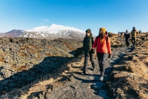 Z Reykjaviku: całodniowa wycieczka na półwysep Snæfellsnes