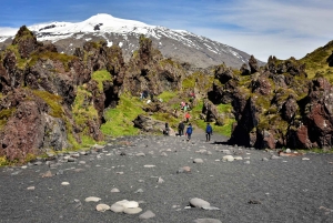 Из Рейкьявика: Снайфеллснес — небольшая группа, обед включен.