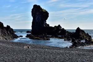 Из Рейкьявика: Снайфеллснес — небольшая группа, обед включен.