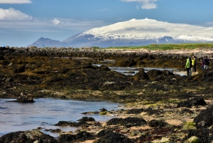 Из Рейкьявика: Снайфеллснес — небольшая группа, обед включен.