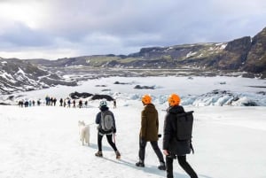 Fra Reykjavík: Vandring på Sólheimajökull-breen