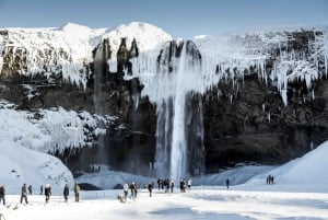Fra Reykjavík: Vandretur på Sólheimajökull-gletsjeren