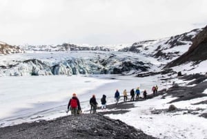 Fra Reykjavík: Vandretur på Sólheimajökull-gletsjeren