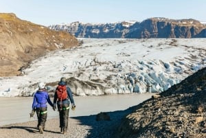 Da Reykjavik: Escursione alla costa meridionale e al ghiacciaio