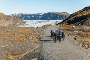 Da Reykjavik: Escursione alla costa meridionale e al ghiacciaio