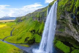 Reykjavik: Small Group South Coast Tour with Spanish Guide