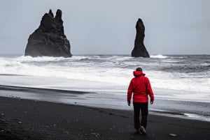 Reykjavik: Small Group South Coast Tour with Spanish Guide