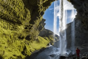 Reykjavik: Small Group South Coast Tour with Spanish Guide