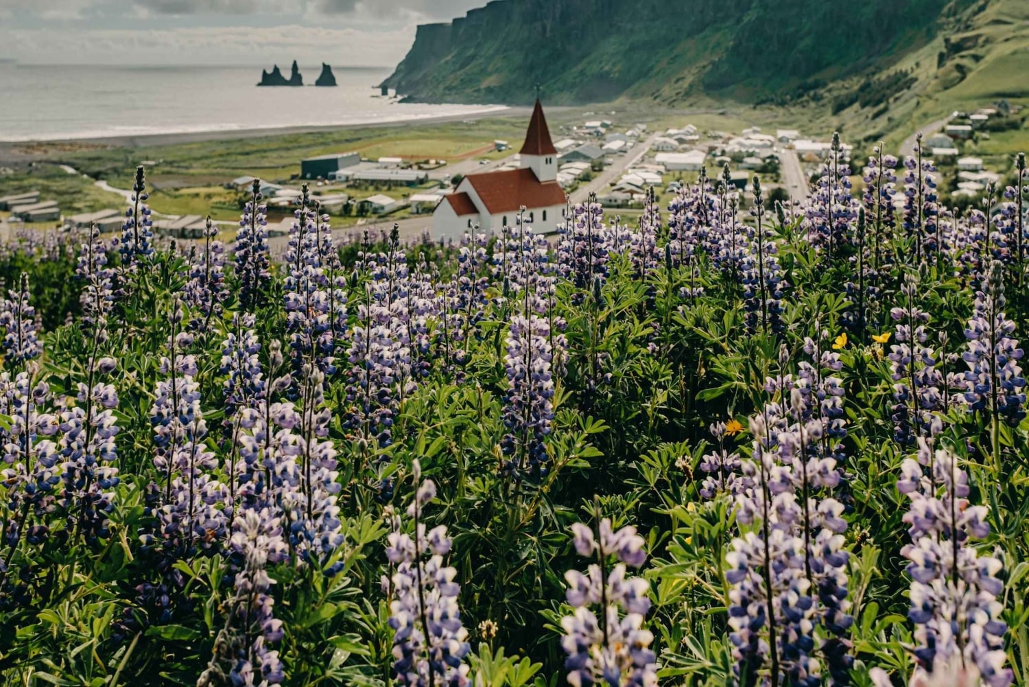 レイキャビク発：南海岸ハイライト日帰りツアー