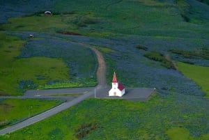レイキャビク発：南海岸ハイライト日帰りツアー