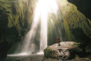 レイキャビク発：南海岸ハイライト日帰りツアー