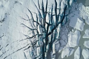 レイキャビク発：南海岸ハイライト日帰りツアー