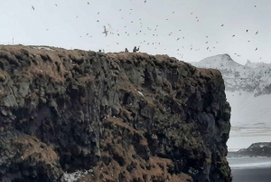 Von REYKJAVIK: Kleingruppentour zur Südküste