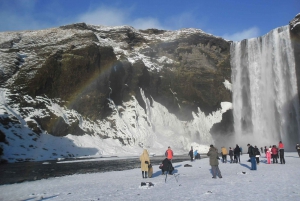 Von REYKJAVIK: Kleingruppentour zur Südküste