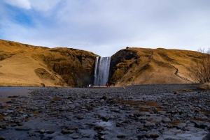 Von REYKJAVIK: Kleingruppentour zur Südküste