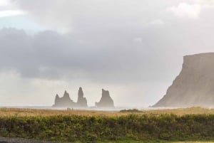 Vanuit Reykjavik: Zuidkust Tour & DC-3 vliegtuigwrak