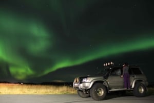 Da Reykjavík: osserva l'aurora boreale con snack e bevande