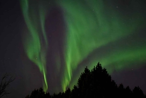 Da Reykjavík: osserva l'aurora boreale con snack e bevande