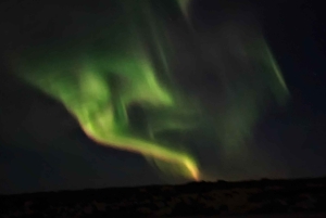 Da Reykjavík: osserva l'aurora boreale con snack e bevande