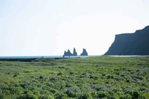 Vanuit Reykjavík: Tandem paragliding & Zuid-IJsland dagtour