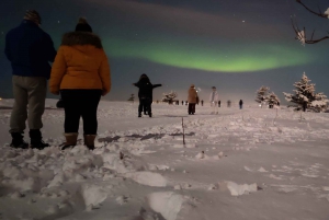 From Reykjavik: The Original 3.5 Hour Northern Lights Tour