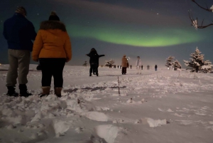 Z Reykjaviku: Wycieczka po zorzy polarnej