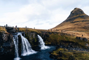 Von Reykjavik aus: Die Wunder des Snæfellsnes Nationalparks