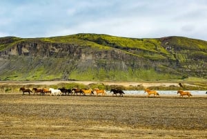 From Reykjavik: Day Tour to Landmannalaugar in a Super Jeep