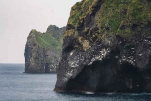 From Reykjavik: Vestmannaeyjar Islands Day Trip