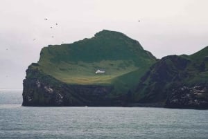 Da Reykjavik: Escursione di un giorno alle isole Vestmannaeyjar