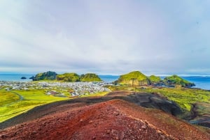 From Reykjavik: Vestmannaeyjar Private Tour