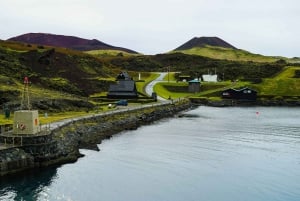 From Reykjavik: Vestmannaeyjar Private Tour