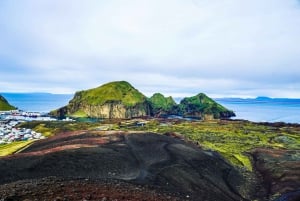 From Reykjavik: Vestmannaeyjar Private Tour