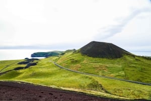 From Reykjavik: Vestmannaeyjar Private Tour