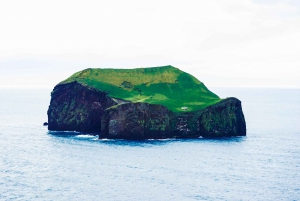 From Reykjavik: Vestmannaeyjar Private Tour